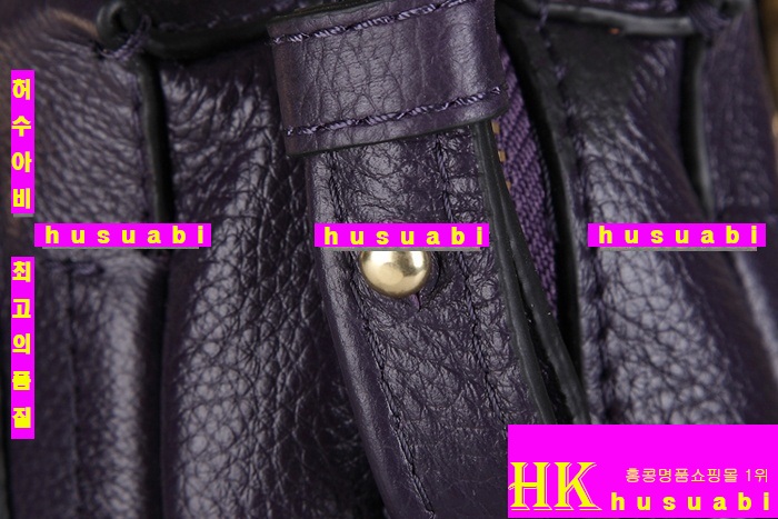 ���ο� �Ż� �Ķ�Ƽ�� ���� �����166323-1