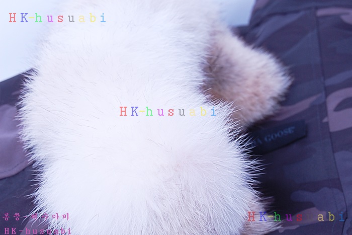 NEW ĳ���ٱ��� ���������е� 977456